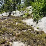 анничка 度假居