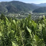 度假居 анничка