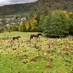анничка *