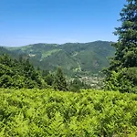 анничка