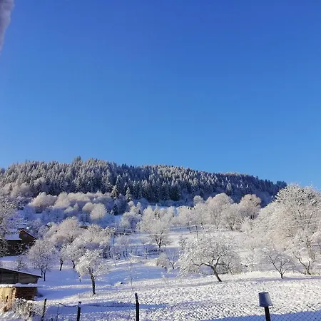 Ferienhaus анничка Khorotseve