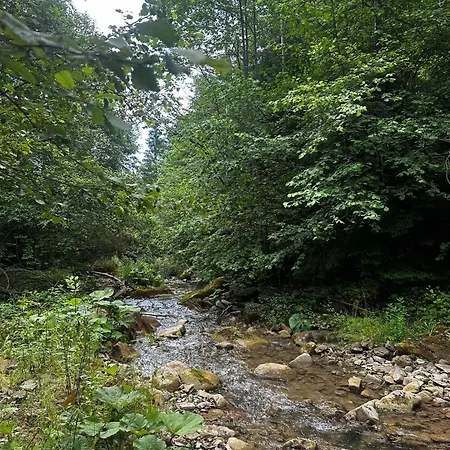 Nyaraló анничка Khorotseve