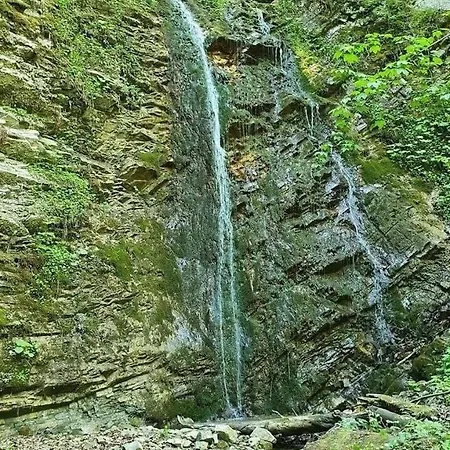 анничка Nyaraló