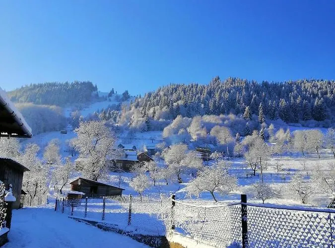 Tatil Evi анничка