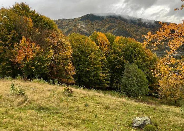 анничка Tatil Evi Khorotseve